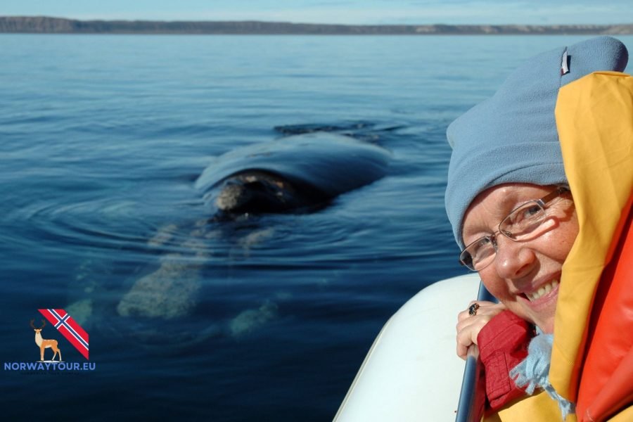 Tourist taking a selfie while watching a whale during a whale-watching tour in Tromsø.