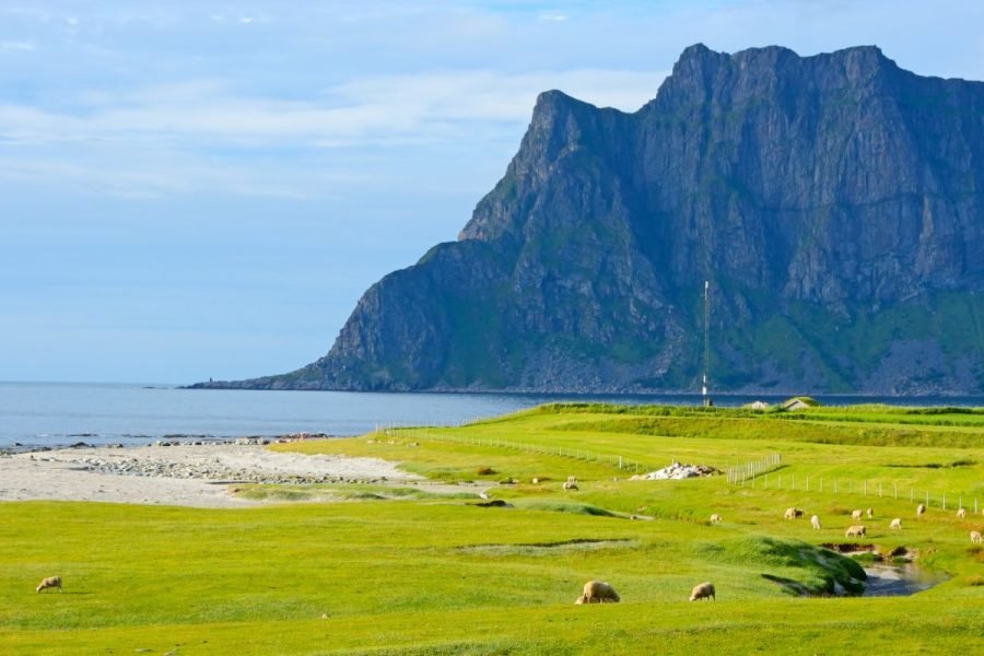 Green landscape with Alps in the background