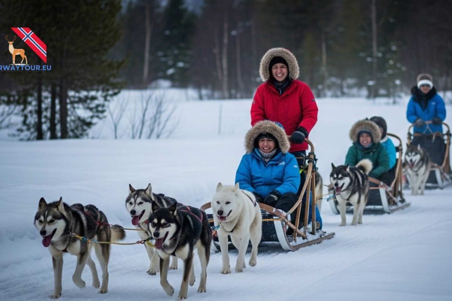 Tourists riding a husky sledge through snowy Arctic trails during a Husky sledge tour in Tromso, Norway.